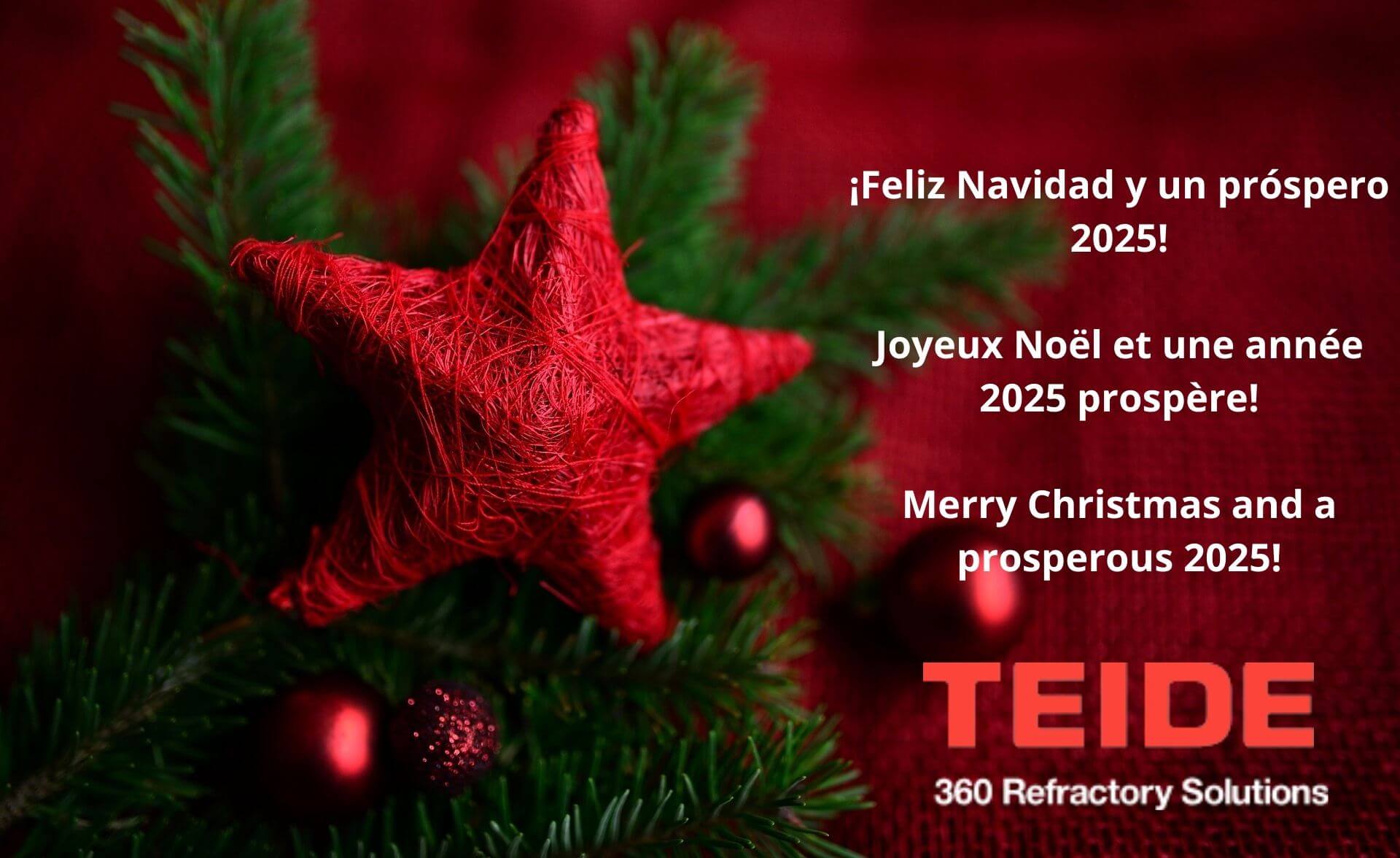 Felices fiestas y un próspero 2025!